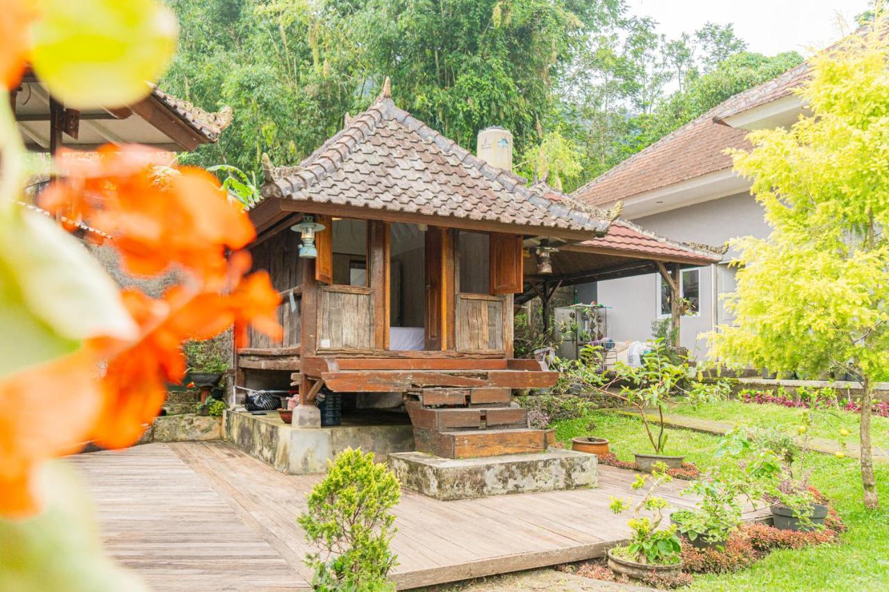 Four Monkeys House By Bukit Vista Βίλα Bedugul  Εξωτερικό φωτογραφία
